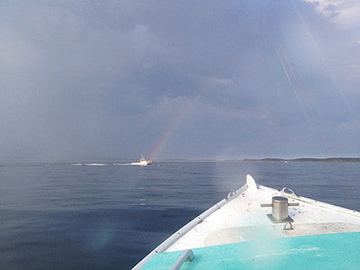 Follow the Rainbow