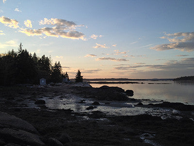 Coastal Scene